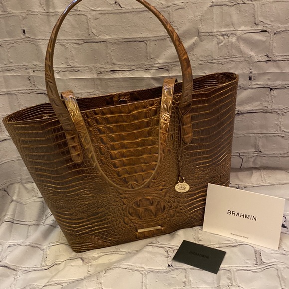 Brahmin - Picture 9 of 9